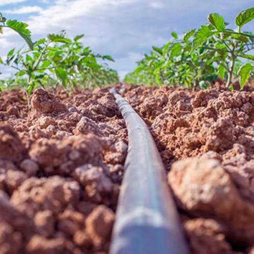 Mangueiras Tubos PEAD para Irrigação